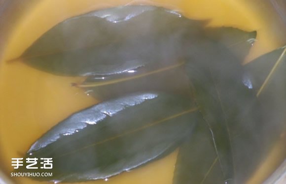 葉脈書簽最簡(jiǎn)單的做法 自制葉脈書簽的制作方法 -  rpnrmr.com