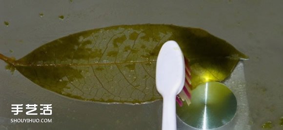 葉脈書簽最簡(jiǎn)單的做法 自制葉脈書簽的制作方法 -  rpnrmr.com