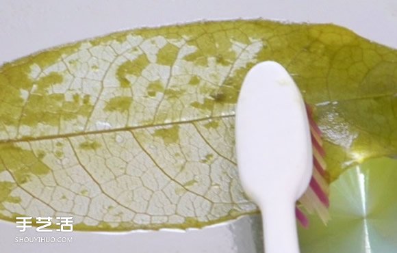 葉脈書簽最簡(jiǎn)單的做法 自制葉脈書簽的制作方法 -  rpnrmr.com