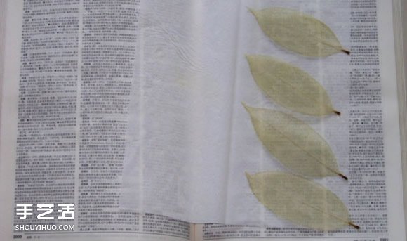葉脈書簽最簡(jiǎn)單的做法 自制葉脈書簽的制作方法 -  rpnrmr.com