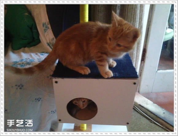 怎么自制貓爬架DIY教程 貓爬架制作方法步驟 -  rpnrmr.com