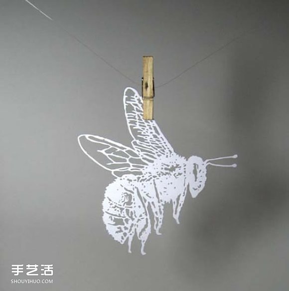 Sam的精美卡紙剪紙 不僅是愛好也是她的工作 -  rpnrmr.com