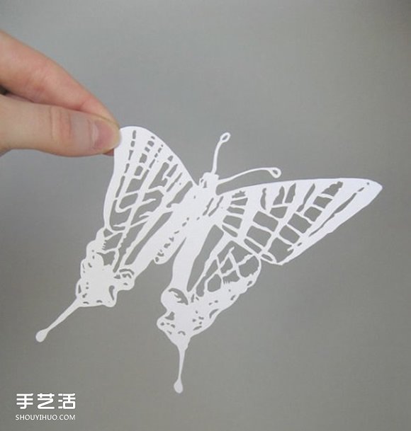 Sam的精美卡紙剪紙 不僅是愛好也是她的工作 -  rpnrmr.com