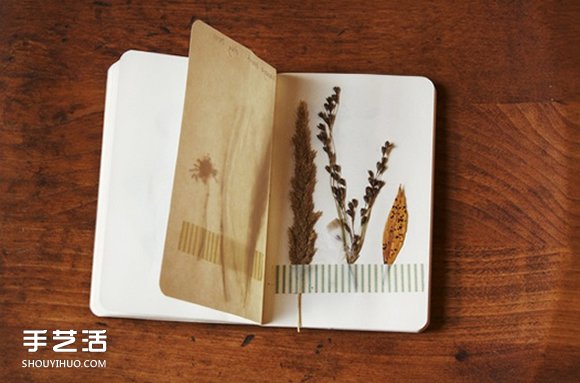 充滿森林氣息的手工植物標本DIY圖片欣賞 -  rpnrmr.com