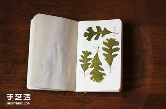 充滿森林氣息的手工植物標本DIY圖片欣賞 -  rpnrmr.com