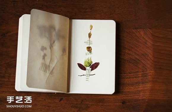 充滿森林氣息的手工植物標本DIY圖片欣賞 -  rpnrmr.com