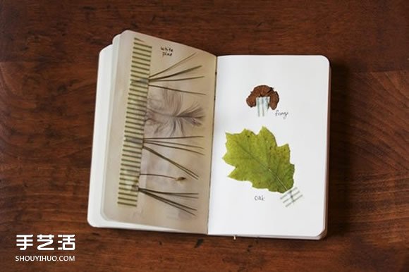 充滿森林氣息的手工植物標本DIY圖片欣賞 -  rpnrmr.com