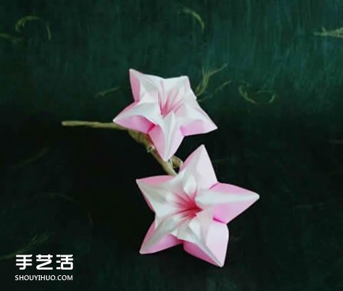 楊桃花怎么折圖解教程 手工楊桃花折紙方法 -  rpnrmr.com