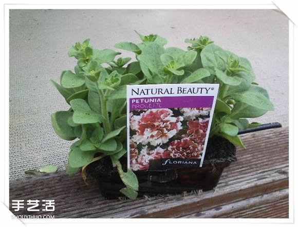 鐵架DIY花盆架子圖解 舊玩具廢物利用做花盆架 -  rpnrmr.com