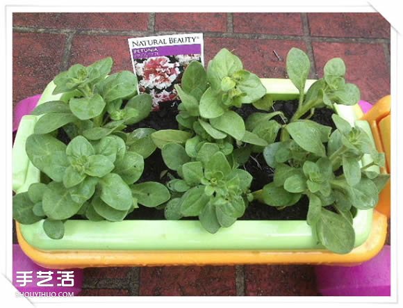 鐵架DIY花盆架子圖解 舊玩具廢物利用做花盆架 -  rpnrmr.com