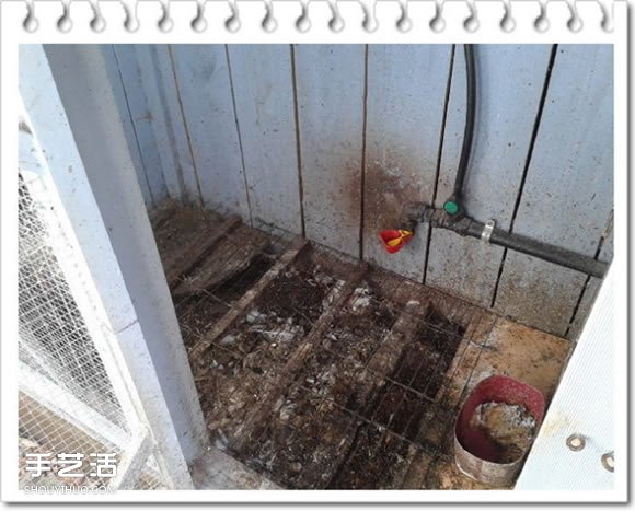 雞舍改造成鳥舍的方法 自制大空間鳥舍DIY教程 -  rpnrmr.com