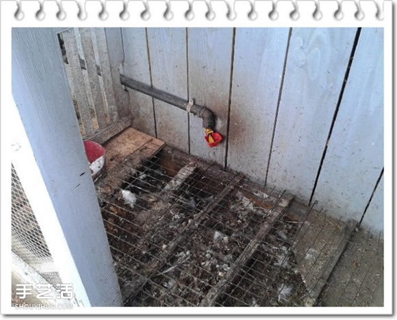 雞舍改造成鳥舍的方法 自制大空間鳥舍DIY教程 -  rpnrmr.com