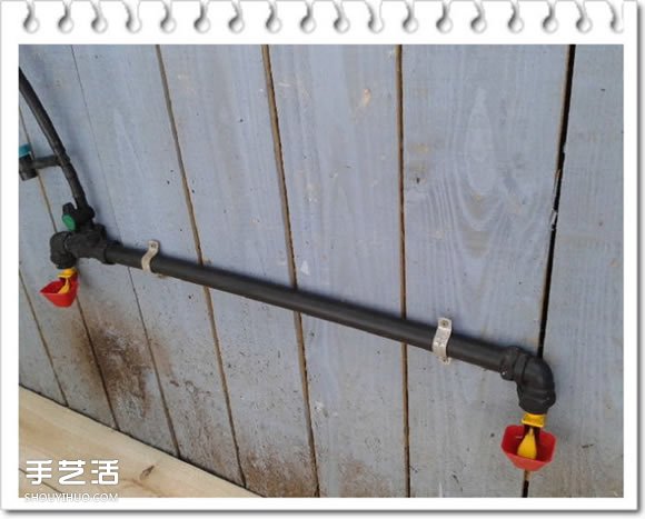 雞舍改造成鳥舍的方法 自制大空間鳥舍DIY教程 -  rpnrmr.com