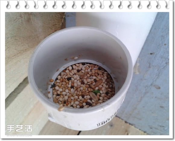 雞舍改造成鳥舍的方法 自制大空間鳥舍DIY教程 -  rpnrmr.com