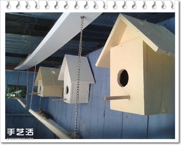 雞舍改造成鳥舍的方法 自制大空間鳥舍DIY教程 -  rpnrmr.com