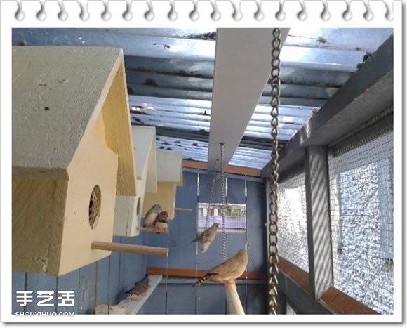 雞舍改造成鳥舍的方法 自制大空間鳥舍DIY教程 -  rpnrmr.com