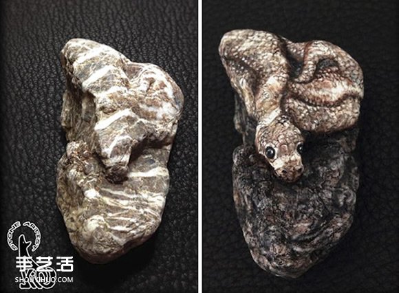 畫(huà)出動(dòng)物的仿真姿態(tài) 藝術(shù)家展現(xiàn)石頭畫(huà)的美感 -  rpnrmr.com