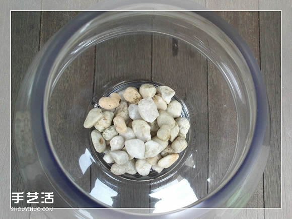 密封玻璃容器盆景DIY 幾乎不要澆水和施肥 -  rpnrmr.com