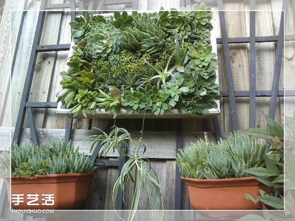 鏡框改造多肉植物花盆 創(chuàng)意多肉花盆DIY方法 -  rpnrmr.com