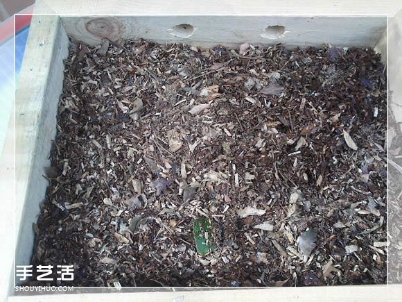 鏡框改造多肉植物花盆 創(chuàng)意多肉花盆DIY方法 -  rpnrmr.com