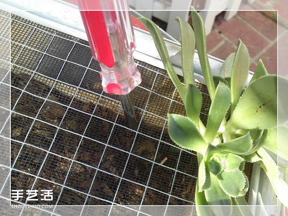 鏡框改造多肉植物花盆 創(chuàng)意多肉花盆DIY方法 -  rpnrmr.com