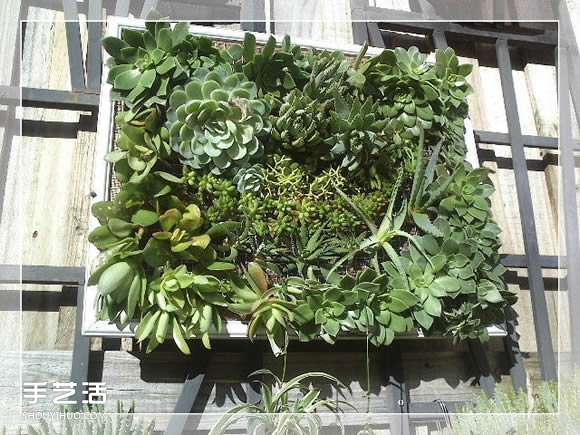 鏡框改造多肉植物花盆 創(chuàng)意多肉花盆DIY方法 -  rpnrmr.com