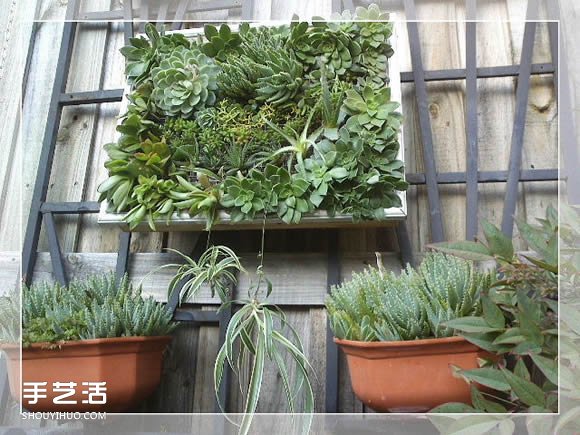 鏡框改造多肉植物花盆 創(chuàng)意多肉花盆DIY方法 -  rpnrmr.com