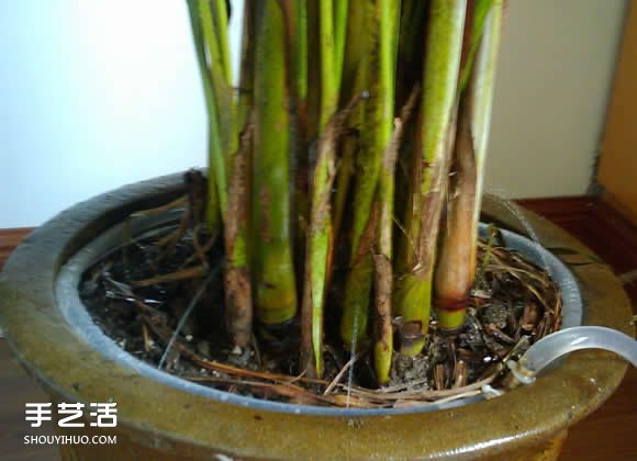 如何自制自動(dòng)澆花器 自動(dòng)澆花器的做法圖解 -  rpnrmr.com