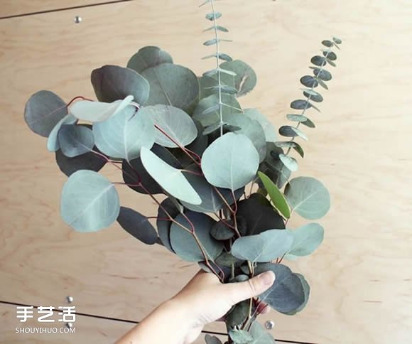 如何自制空氣清新劑 純天然空氣清新劑DIY -  rpnrmr.com