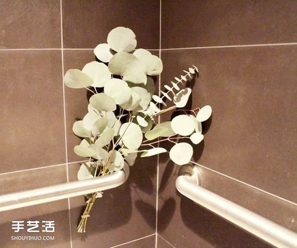 如何自制空氣清新劑 純天然空氣清新劑DIY -  rpnrmr.com