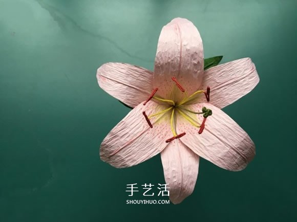 手工百合花制作方法 簡單紙百合花的折法圖解 -  rpnrmr.com