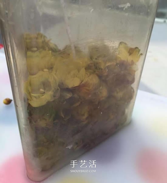 自制蠟梅花蠟燭的方法 鮮花蠟燭禮物DIY制作 -  rpnrmr.com
