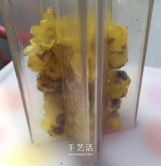 自制蠟梅花蠟燭的方法 鮮花蠟燭禮物DIY制作 -  rpnrmr.com