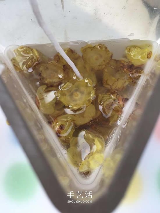 自制蠟梅花蠟燭的方法 鮮花蠟燭禮物DIY制作 -  rpnrmr.com