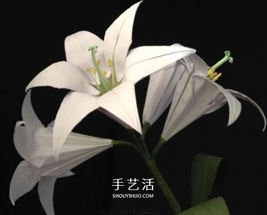 紙百合花的折法圖解 折百合花的方法步驟 -  rpnrmr.com