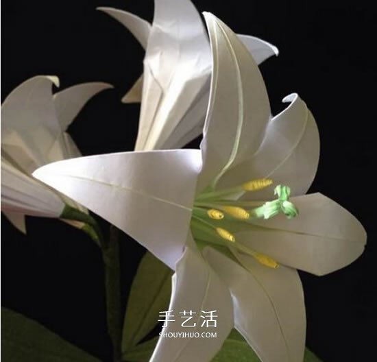 紙百合花的折法圖解 折百合花的方法步驟 -  rpnrmr.com