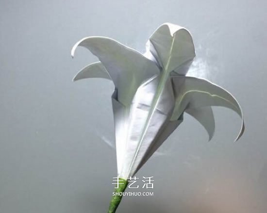 紙百合花的折法圖解 折百合花的方法步驟 -  rpnrmr.com