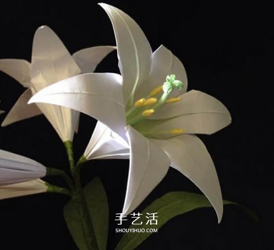 紙百合花的折法圖解 折百合花的方法步驟 -  rpnrmr.com