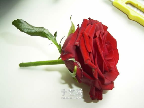 創(chuàng)意情人節(jié)禮物冰凍愛心DIY制作圖解教程 -  rpnrmr.com