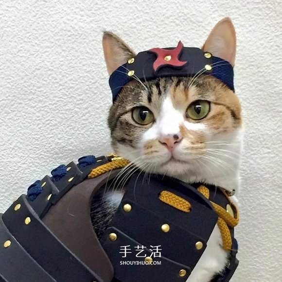 寵物用武士盔甲 讓蠢萌貓狗化身帥氣武士大人 -  rpnrmr.com
