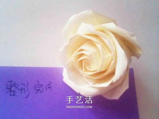 玫瑰花怎么折步驟圖解 折玫瑰的方法步驟圖 -  rpnrmr.com