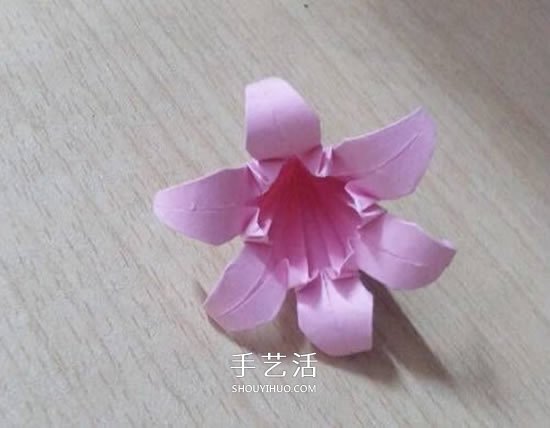 六瓣百合花折紙圖解 折紙六瓣百合的方法教程 -  rpnrmr.com
