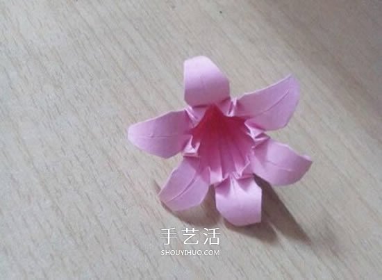 六瓣百合花折紙圖解 折紙六瓣百合的方法教程 -  rpnrmr.com