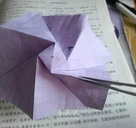 貝利爾玫瑰的折法圖解 怎么折紙貝利爾玫瑰 -  rpnrmr.com
