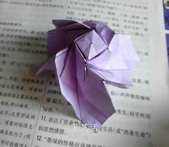 貝利爾玫瑰的折法圖解 怎么折紙貝利爾玫瑰 -  rpnrmr.com