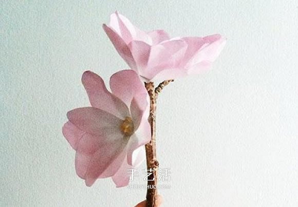 教師節(jié)木蘭花的制作 紙木蘭花的做法圖解 -  rpnrmr.com