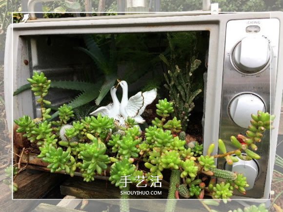 舊烤箱廢物利用 改造成園藝盆景的小制作方法 -  rpnrmr.com