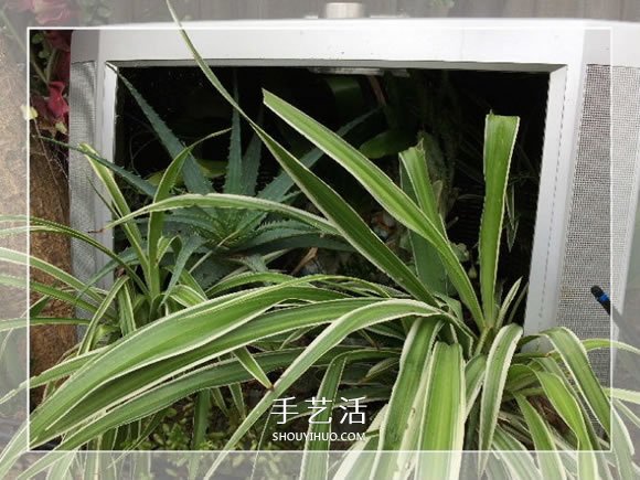 舊烤箱廢物利用 改造成園藝盆景的小制作方法 -  rpnrmr.com