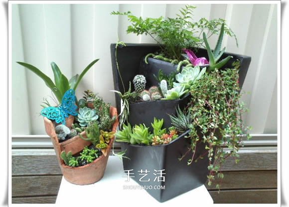 破花盆變盆景的方法 DIY破花盆盆景小制作 -  rpnrmr.com