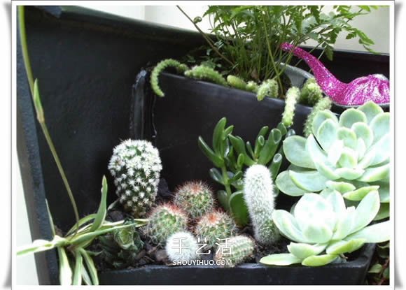 破花盆變盆景的方法 DIY破花盆盆景小制作 -  rpnrmr.com